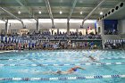 Swimming & Diving vs Babson  Swimming & Diving vs Babson College. - Photo by Keith Nordstrom : Wheaton, Swimming